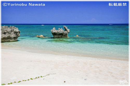 「品那海岸イメージ2025」写真転載厳禁・プロ写真家なわたよりのぶ