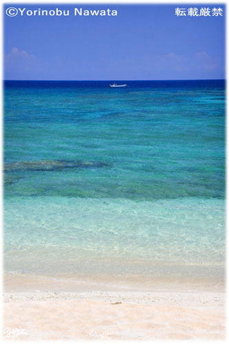 「2025品那海岸」写真転載厳禁・プロ写真家なわたよりのぶ