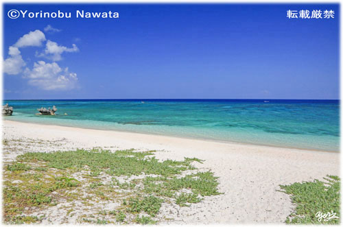 「品那海岸入口」写真転載厳禁・プロ写真家なわたよりのぶ