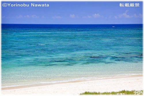 「品那海岸でシュノーケリング中」写真転載厳禁・プロ写真家なわたよりのぶ