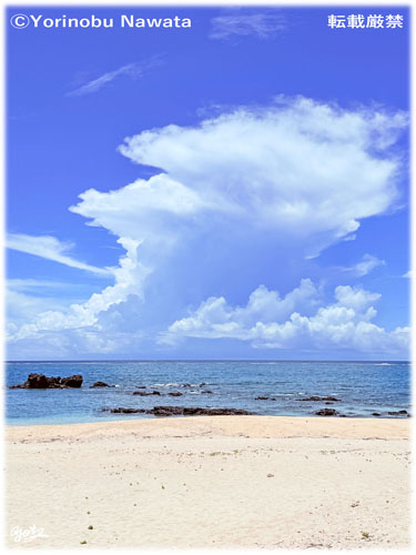 「2025赤崎海岸」写真転載厳禁・プロ写真家なわたよりのぶ