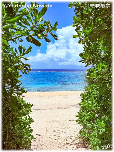 「赤崎海岸入口」写真転載厳禁・プロ写真家なわたよりのぶ