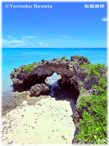 「奄美十景・岩場の穴」写真転載厳禁・プロ写真家なわたよりのぶ