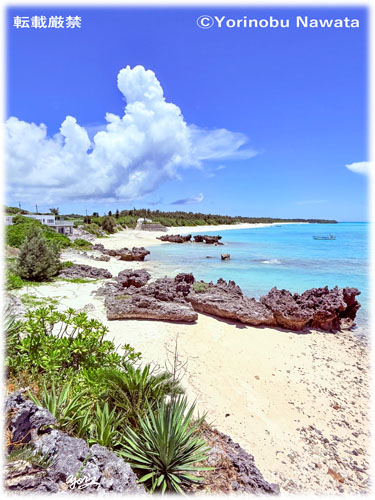「大金久海岸」写真転載厳禁・プロ写真家なわたよりのぶ