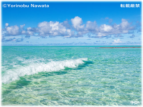 「百合ヶ浜周辺を移動中」写真転載厳禁・プロ写真家なわたよりのぶ