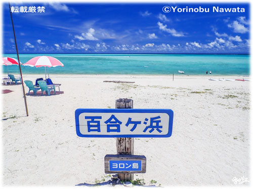 「百合ヶ浜・イメージ」写真転載厳禁・プロ写真家なわたよりのぶ