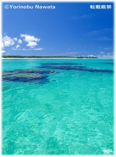 「百合ヶ浜周辺・シュノーケル」写真転載厳禁・プロ写真家なわたよりのぶ