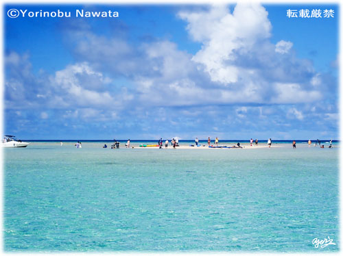 「百合ヶ浜イメージ2025」見本写真・転載厳禁・プロ写真家なわたよりのぶ