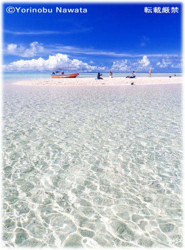 「ヨロン・百合ヶ浜」写真転載厳禁・プロ写真家なわたよりのぶ